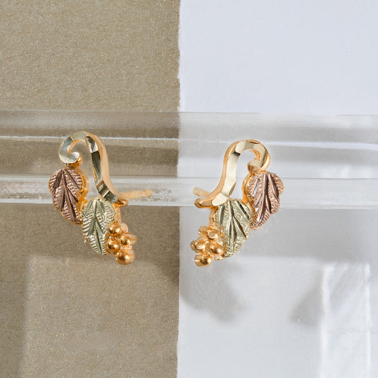 10K yellow gold curved grapevine and leaf earrings by Landstrom's Black Hills Gold, styled view