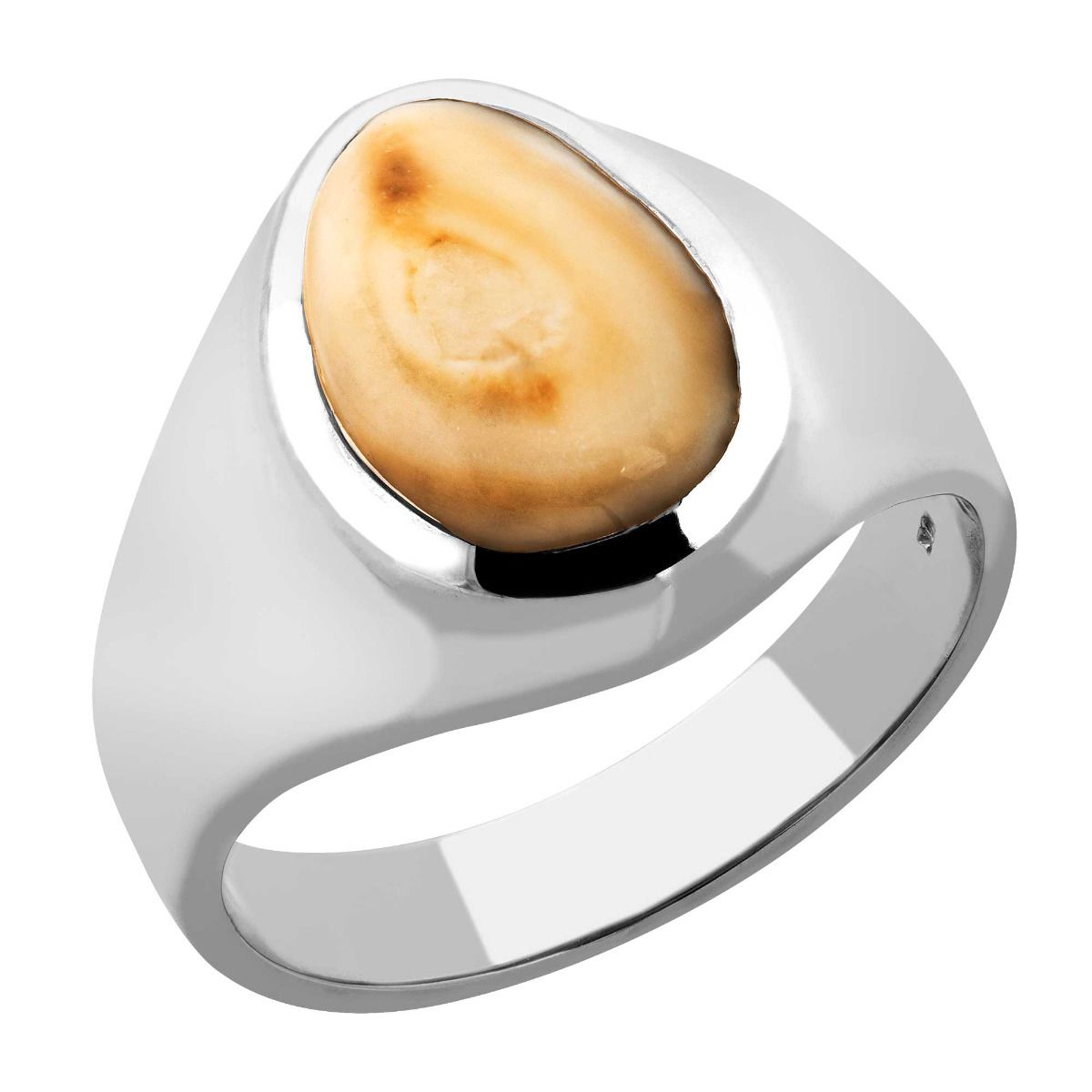 10K white gold men's elk ivory ring, Big Sky design