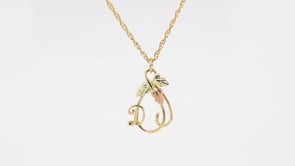 10K yellow gold hanging vine featuring leaves initial letter d pendant by Mt. Rushmore Black Hills Gold, product video